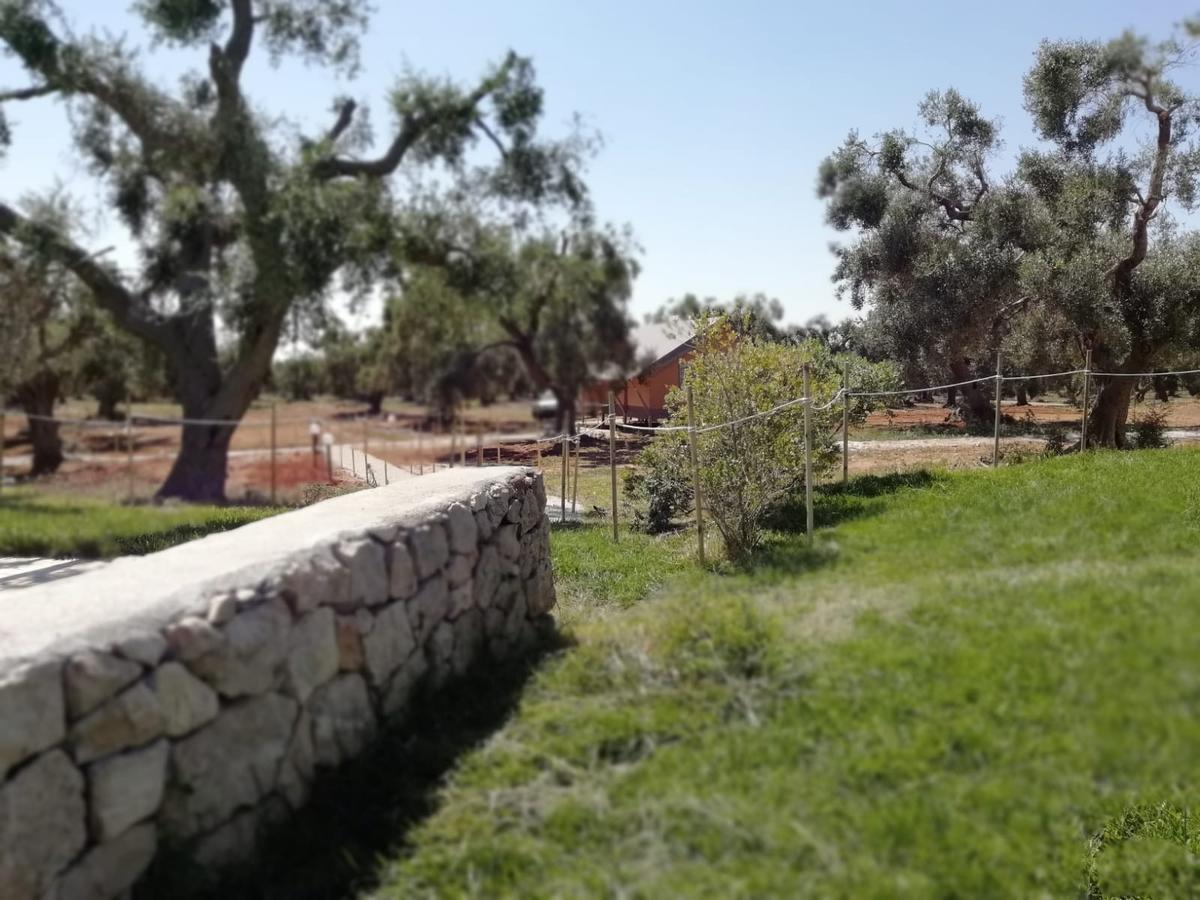Agriturismo Marconi Porto Cesareo Extérieur photo